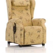 BEAULIEU FIRM BACK00002 BEAULIEU FIRM BACK00002