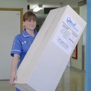 _DCP2637 _DCP2637