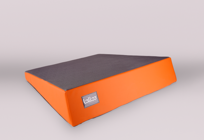 Lalloo Ergonomic Seating - Image 6